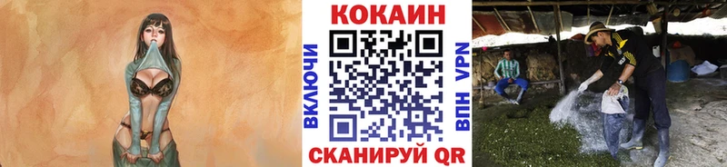 Кокаин Перу Высоцк