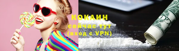 PSILOCYBIN Белокуриха