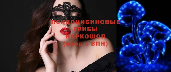 PSILOCYBIN Белокуриха