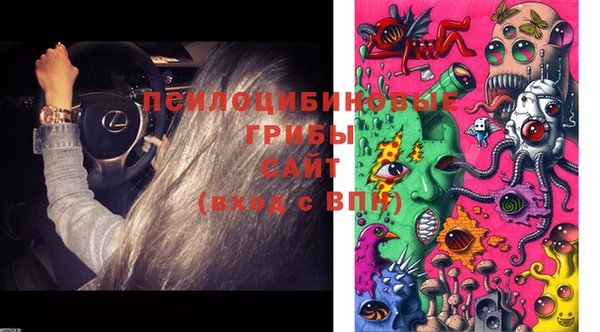 ГАЛЛЮЦИНОГЕННЫЕ ГРИБЫ Белоозёрский