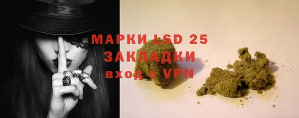 ГАЛЛЮЦИНОГЕННЫЕ ГРИБЫ Белоозёрский