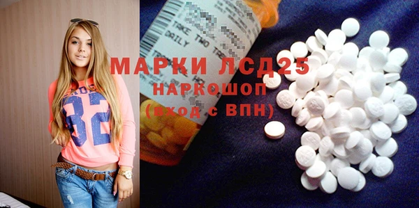 PSILOCYBIN Белокуриха