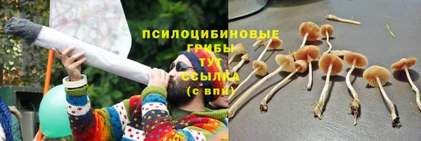 ГАЛЛЮЦИНОГЕННЫЕ ГРИБЫ Белоозёрский