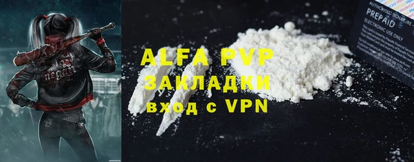 PSILOCYBIN Белокуриха