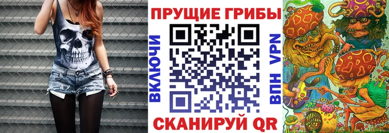 Псилоцибиновые грибы Cubensis  Высоцк 